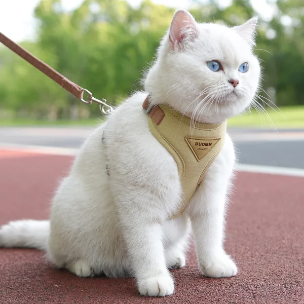 Cat  Outdoor Walking Supplies