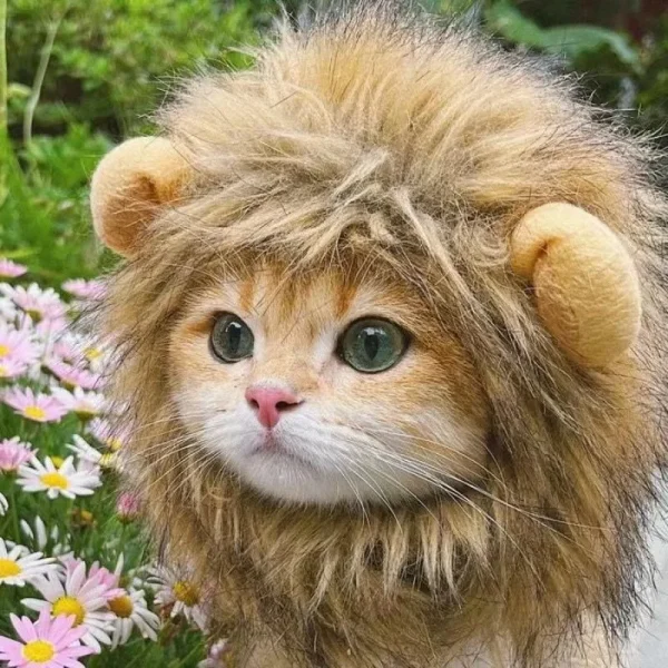 Cat Wig Lion Mane Costume